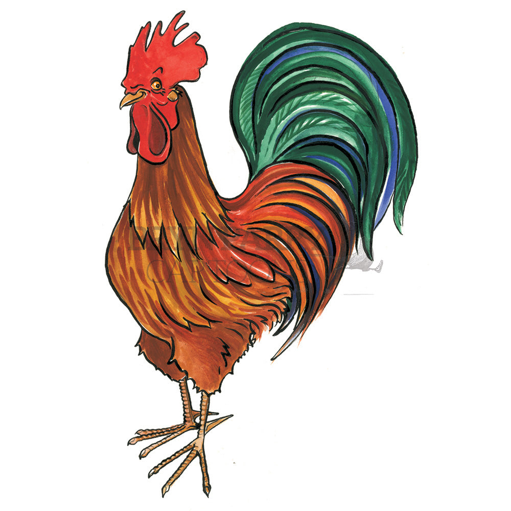 Cockerel