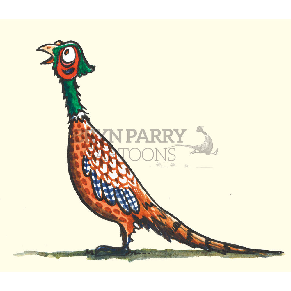 Cocky pheasant