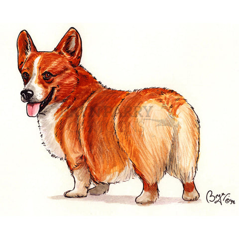 Corgi profile