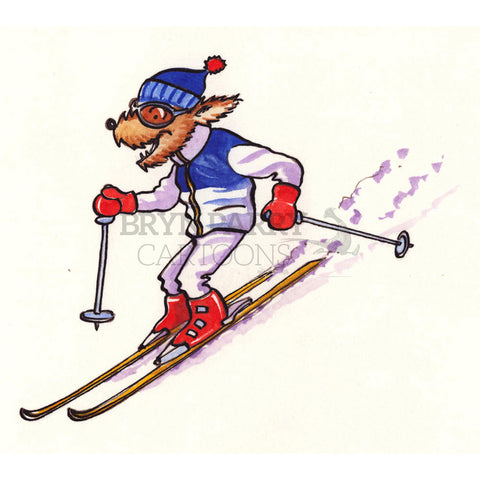 Downhill skier