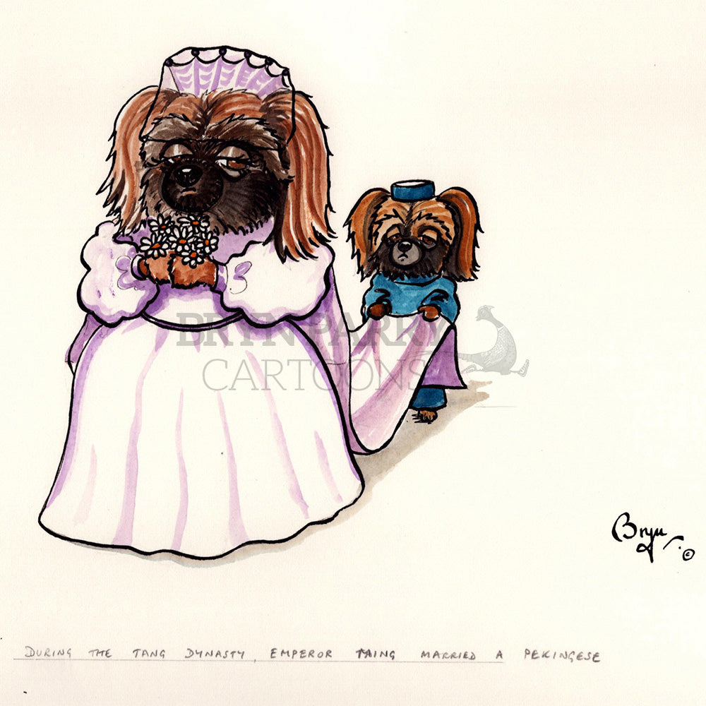 During the Tang dynasty, Emperor Taing married a Pekingese