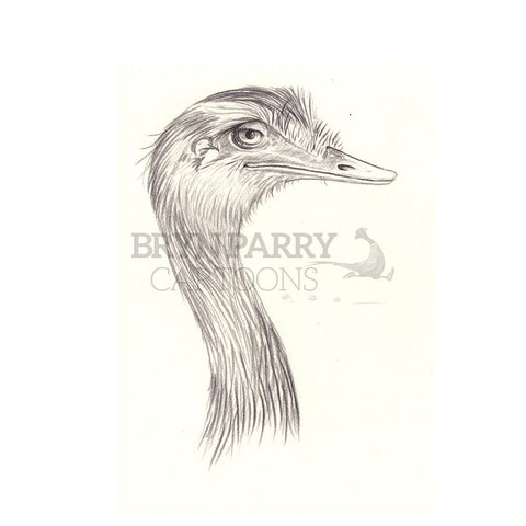 Emu profile