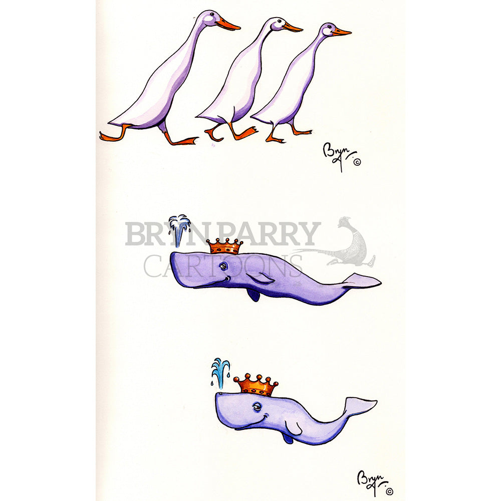 Geese and Prince of Whales