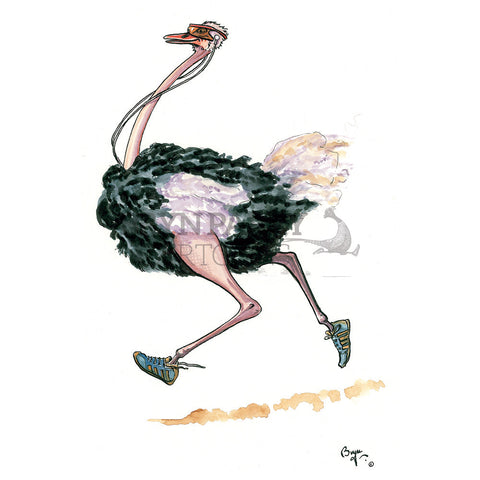 Ostrich jogging