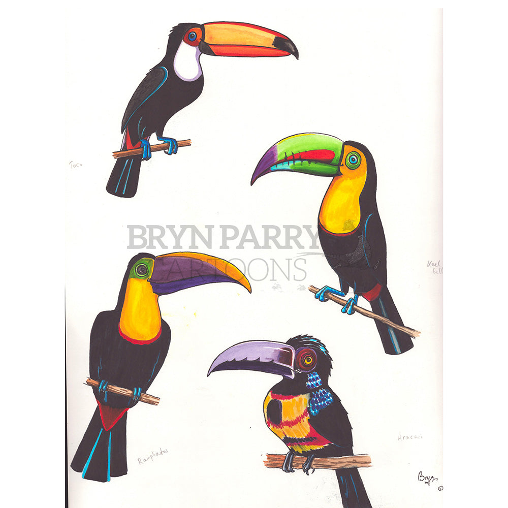 Toucans