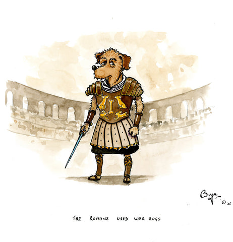 The Romans used war dogs