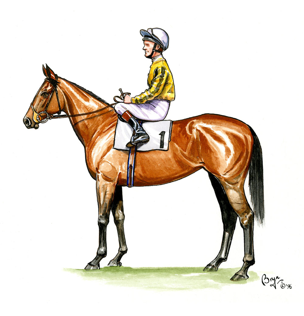 Horse and Jockey study