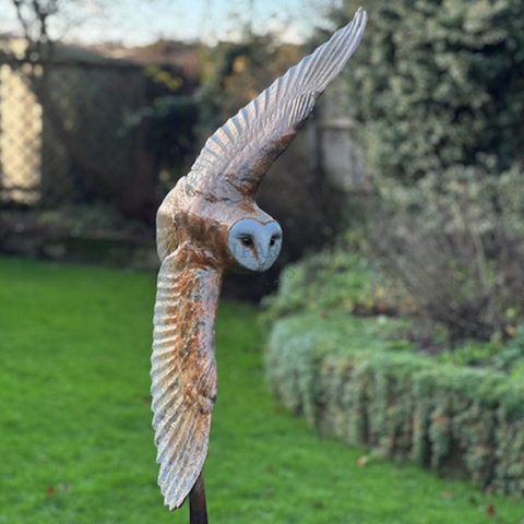 Barn Owl and Vole