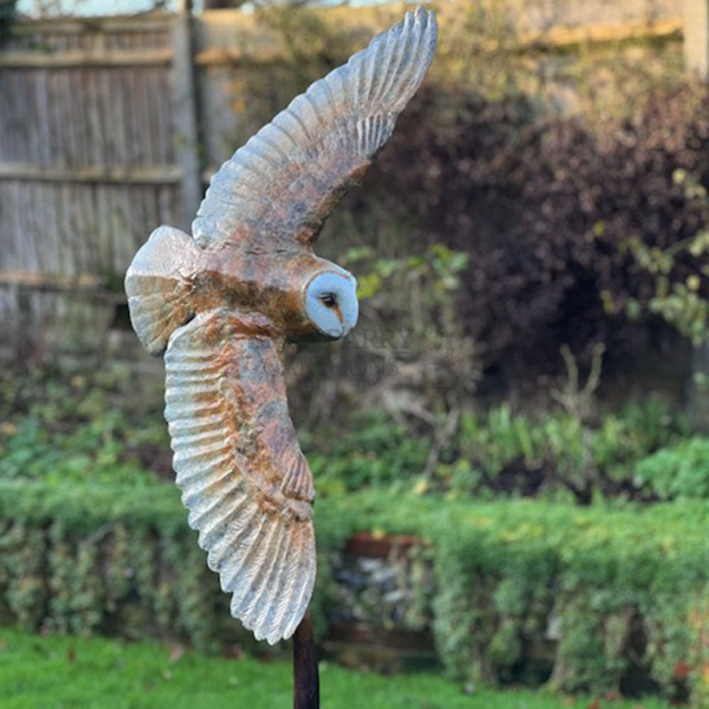 Barn Owl and Vole