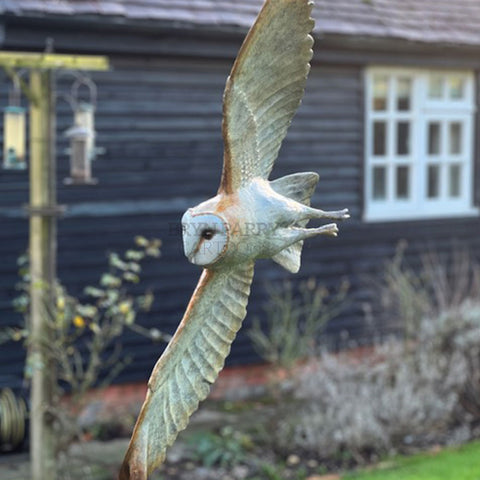 Barn Owl and Vole